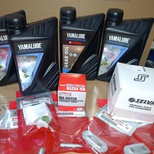 Tagliando completo Yamaha F40 GETL